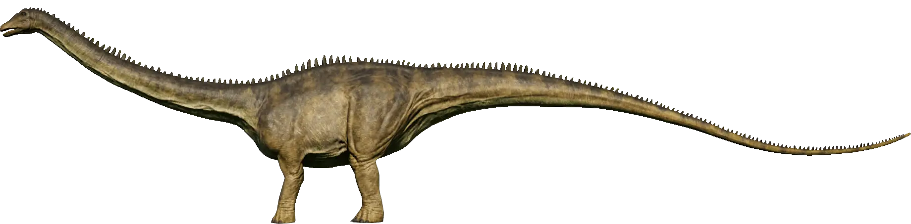 Diplodocus Names for kids