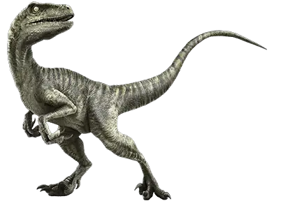 Velociraptor Names for Kids