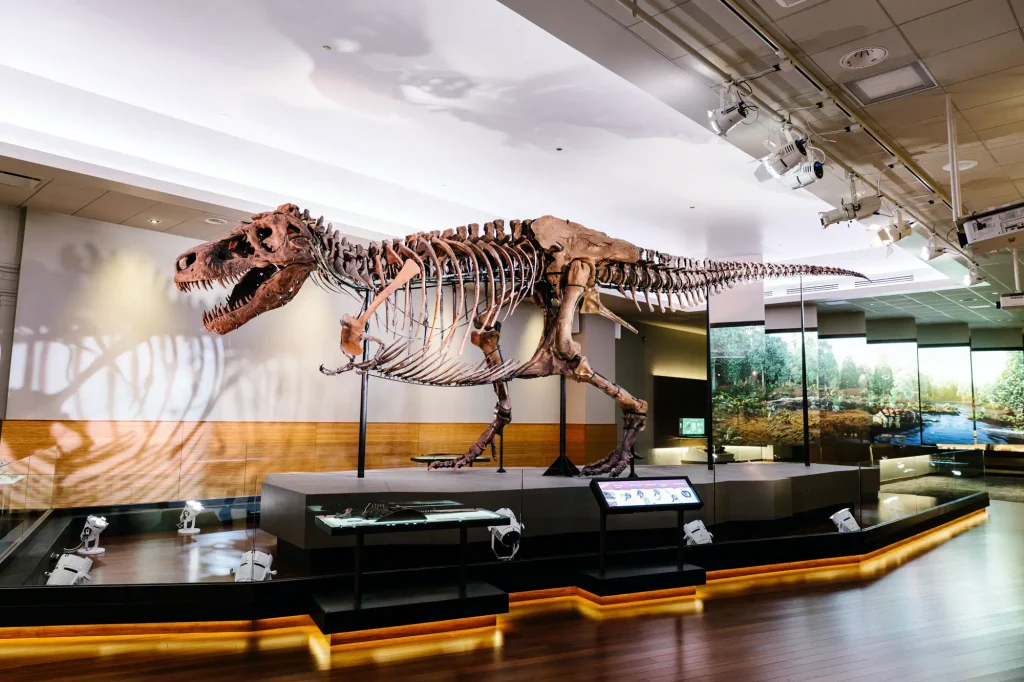 Field Museum Dinosaur