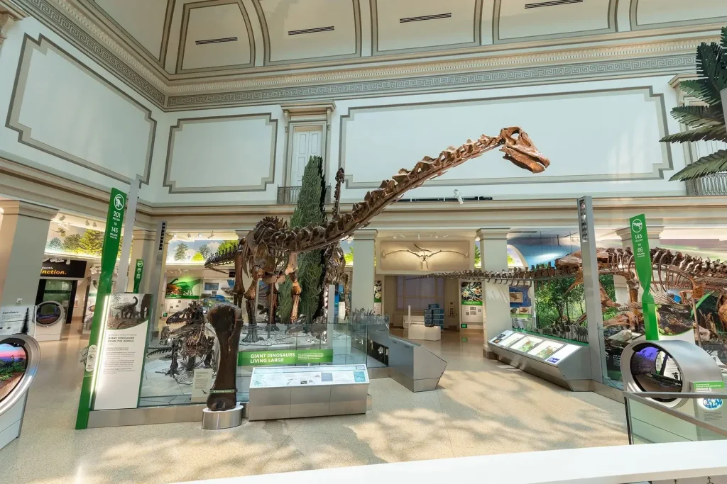 Smithsonian Museum Dinosaur