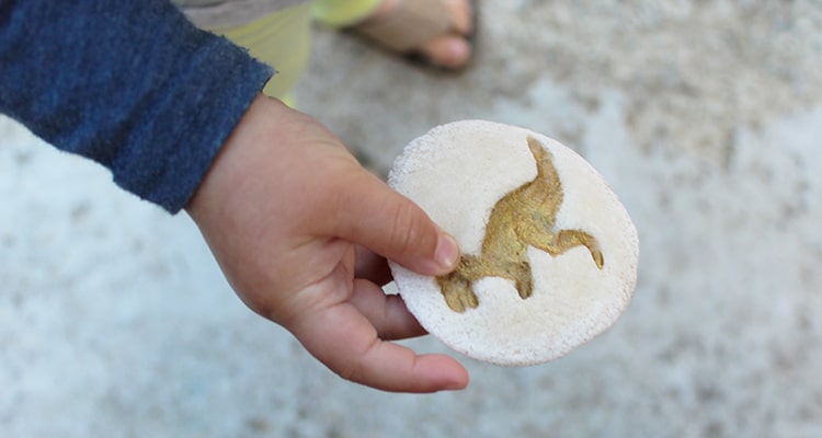 Dinosaur Play fossils playdough