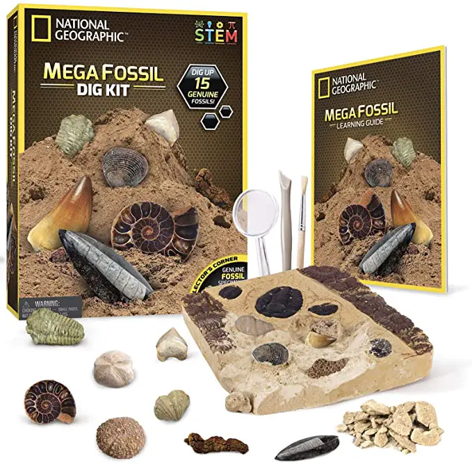 Fossil-Dig-Kit-Dinosaur-Gift