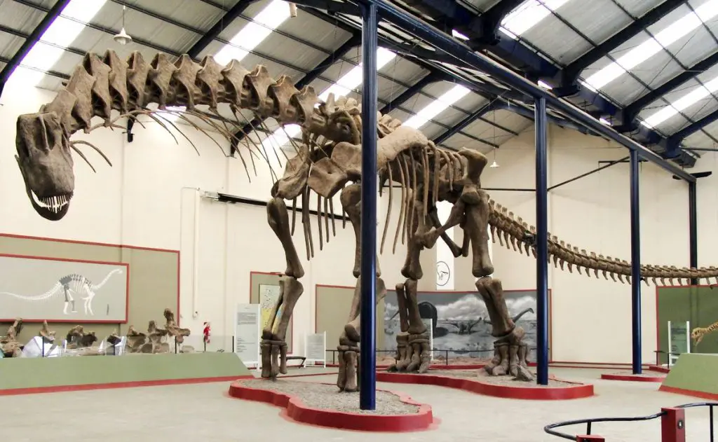 Argentinosaurus Dinosaur with Long Neck